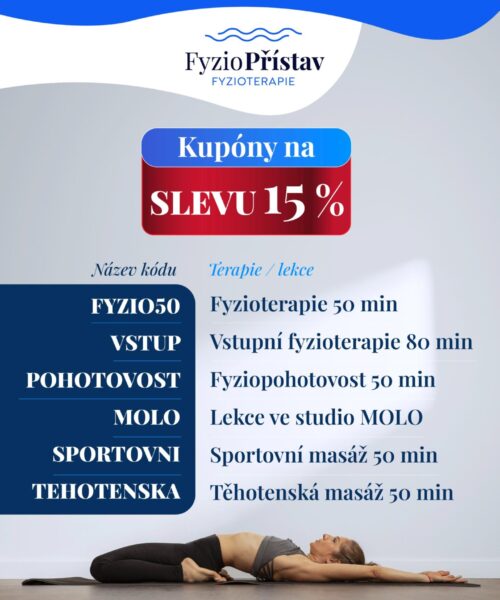 FyzioPristav banner 3ku4-02