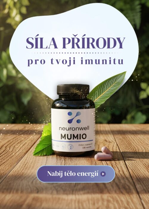 NEURONWELL_mumio_banner_4ku5.jpg
