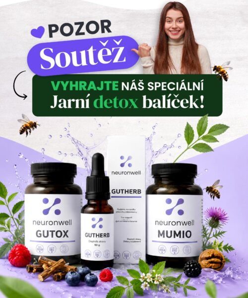 Neuronwell soutěž 3ku4